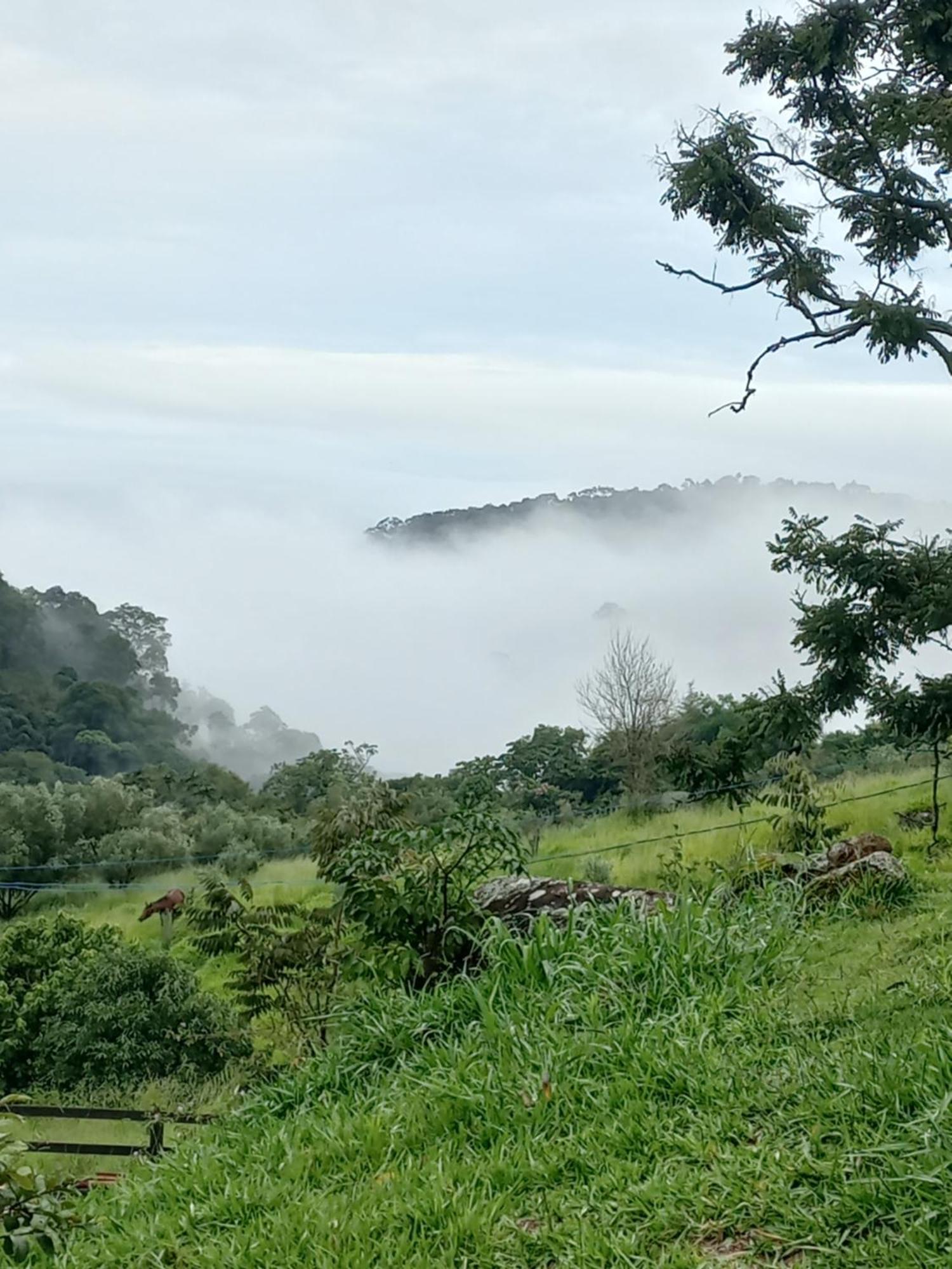 Chale Araucaria- Vale Das Pedras Mg Sapucaí-Mirim Exterior foto
